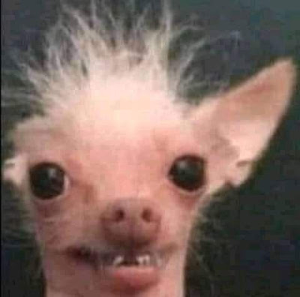 Meet your Posher, Cassidy-rae